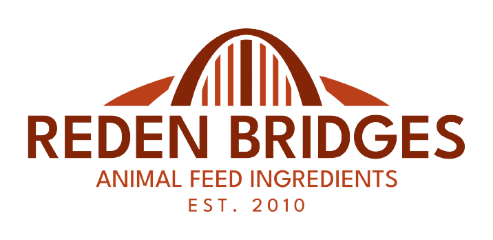 Reden Bridges - Logo